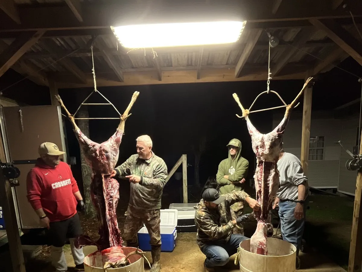 Whitetail deer hanging in the skinning shed after a fall hunt