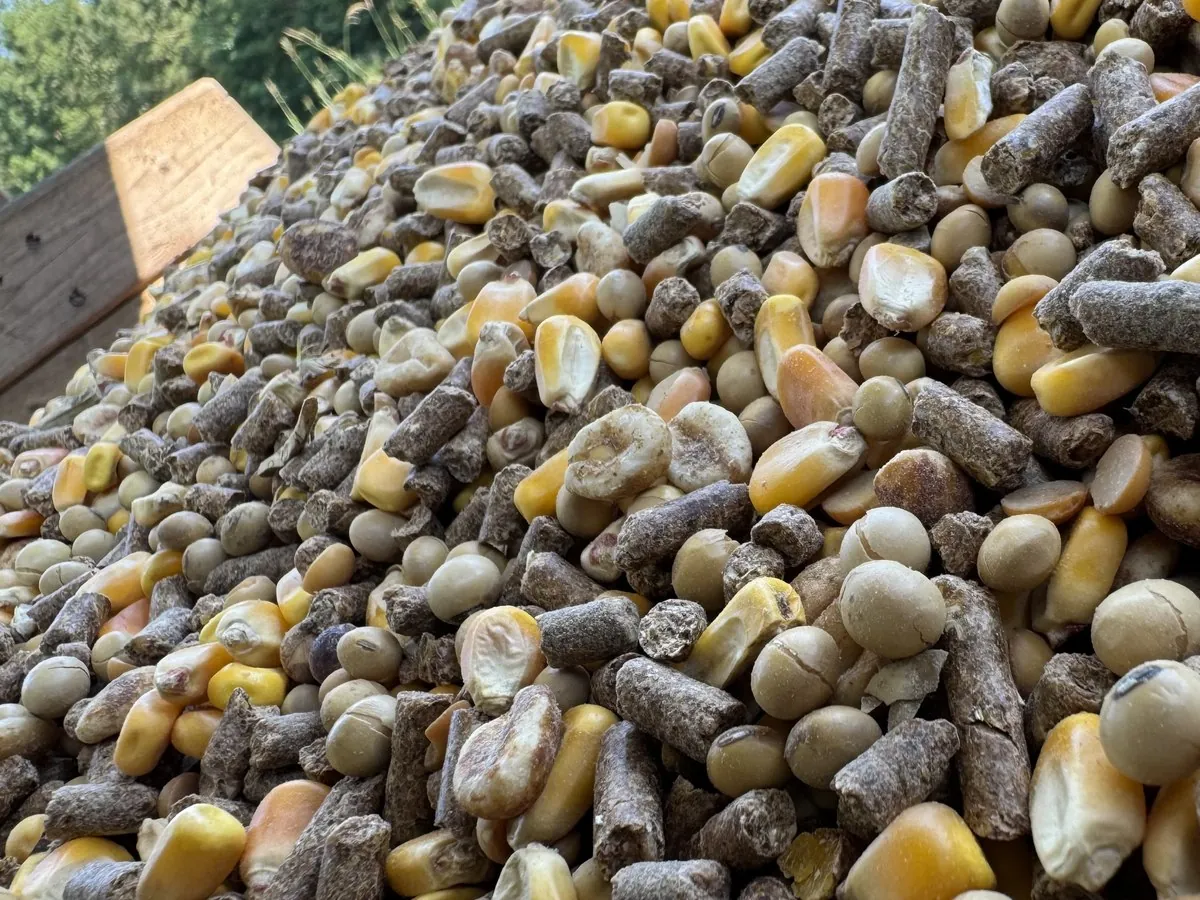 Whole corn, soybeans and protein pellets heaped in a feeder