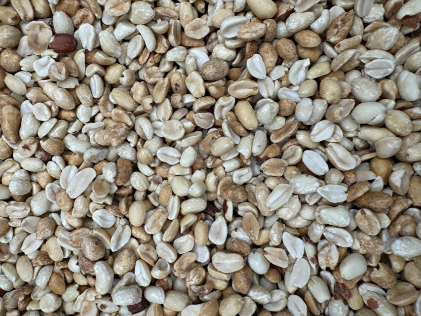 Close-up of shelled peanuts, one of the fat-first ingredients Grip Feed was built on.