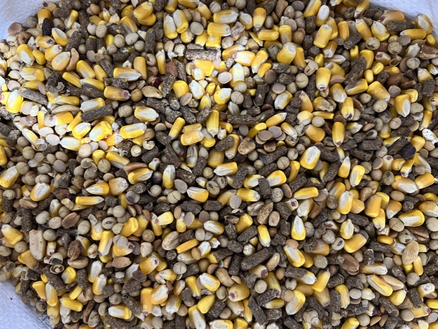 Close-up of the Grip Wild blend — corn, protein pellets, and roasted soybeans.