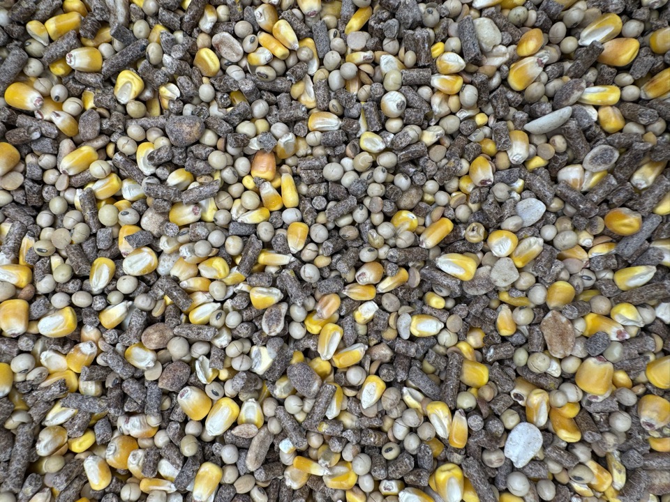 Close-up of the Kicker Mix blend — corn, protein pellets, and roasted soybeans.