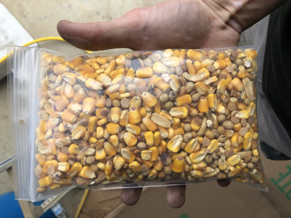 An early sample bag of Winter Mix, the blend that would become Triple Grip.