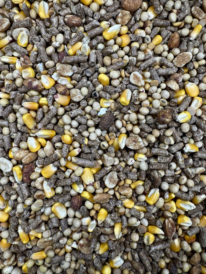 Close-up of Grip Wild Plus — corn, pellets, and roasted soybeans at 22% protein.