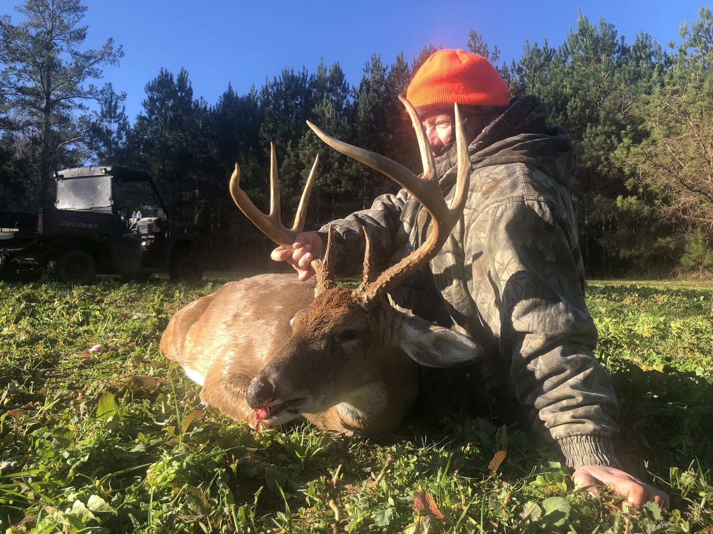 Hunter in blaze orange with a wide-racked buck on green ground